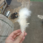 White fluffy marabou feather held in hand, decorative craft feather for gift hampers