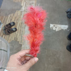Red fluffy marabou feather held in hand, decorative craft feather for gift hampers