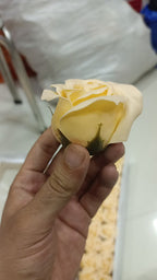 Hand holding a brown/caramel artificial scented rose from a matching box of roses