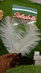 Natural white ostrich feather 8 to 10 inch for nikah pen making and paghdi kalgi decoration