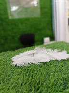 Natural white ostrich feather 8 to 10 inch for nikah pen making and paghdi kalgi decoration