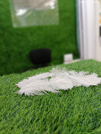 Natural white ostrich feather 8 to 10 inch for nikah pen making and paghdi kalgi decoration