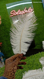 Natural white ostrich feather 8 to 10 inch for nikah pen making and paghdi kalgi decoration