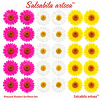 Pressed flower Daisy | regular colors | Insert sheet A4