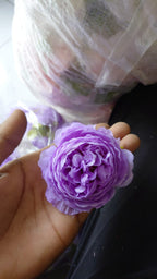 artificial-peony-ranunculus-ceramic-pot-collection.png