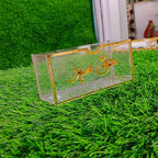 Elegant Haq Meher Envelope