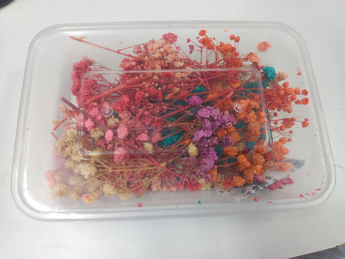 Baby Breath - Dry Resin Flower Box
