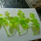 Multi-Colour Fillers