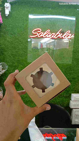 Khaki Window Cookie Boxes