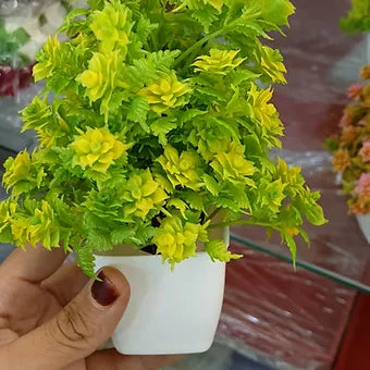 Flower Pot (Small)