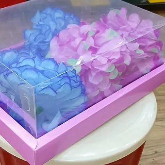 Transperant Rectangle pvc box