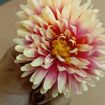 Loose MARIGOLD flower (Big) Available;   color available;