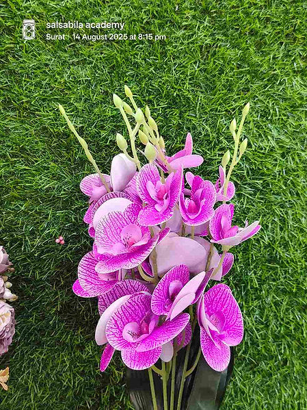 Orchid Flower Bunch