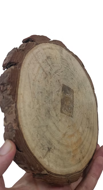 Wooden platter Logs