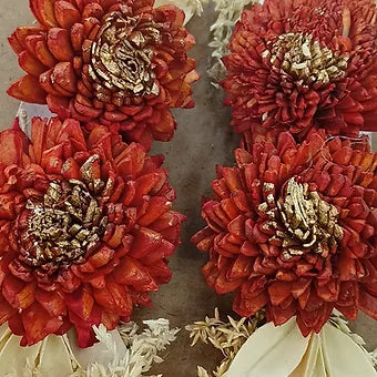 Dry wooden Marigold 2 flower Broach