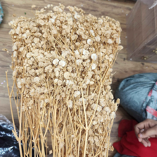 Real Dry Gypsy Flowers | Resin Flowers | Bouquet flowers | Hamper Flowers