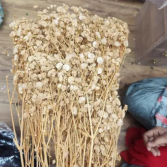 Real Dry Gypsy Flowers | Resin Flowers | Bouquet flowers | Hamper Flowers