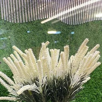 Salsabila White Fluffy Flower Spray Corn bunch