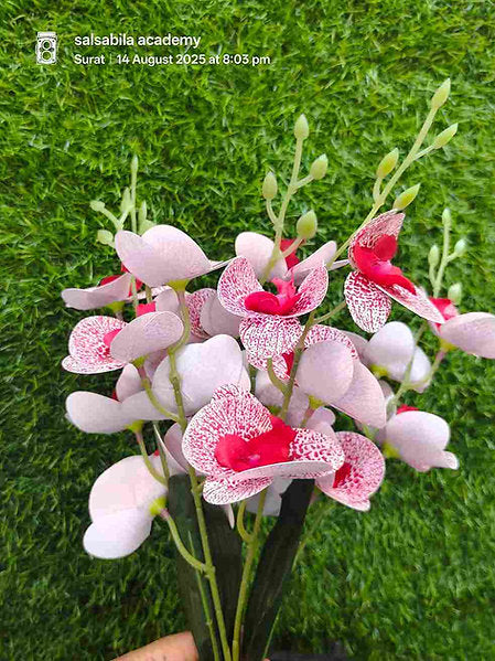 Orchid Flower Bunch
