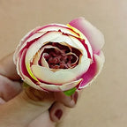 Loose  PEONIES flower (small)