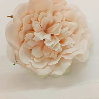Flower Camelia for Flourist, Gift packaging(9cm)