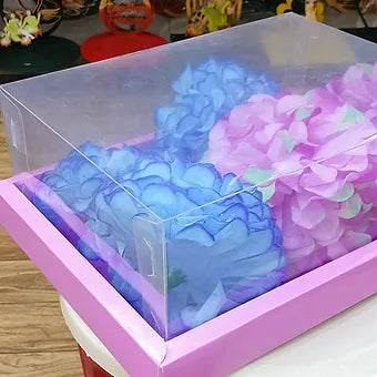 Transperant Rectangle pvc box