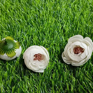 Loose  PEONIES flower (small)