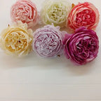 Add a touch of timeless beauty to your creations with these exquisite deep rose