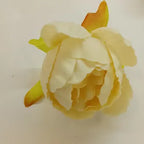 Medium Style Peony(5.5cm)