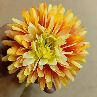 Loose MARIGOLD flower (Big) Available;   color available;
