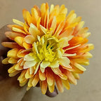 Loose MARIGOLD flower (Big) Available;   color available;