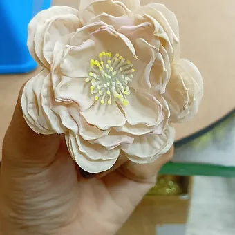 Loose HELLEBORE flower