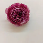 Add a touch of timeless beauty to your creations with these exquisite deep rose