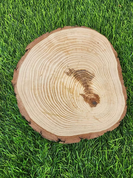 Wooden platter Logs