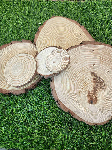 Wooden platter Logs
