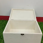 Wooden Velevt box/Resin Box