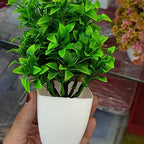 Flower Pot (Small)