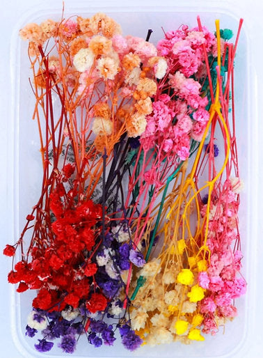 Baby Breath - Dry Resin Flower Box