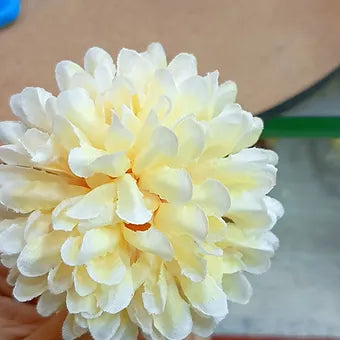 Loose MARIGOLD flower (Big) Available;   color available;