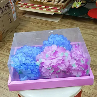 Transperant Rectangle pvc box