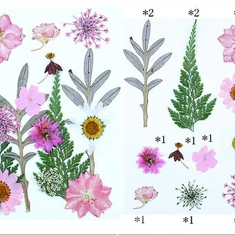 15 In 1 Pressed Flowers Fl182