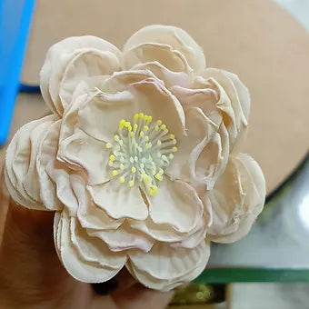 Loose HELLEBORE flower