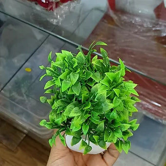 Flower Pot (Small)