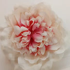 Flower Camelia for Flourist, Gift packaging(9cm)