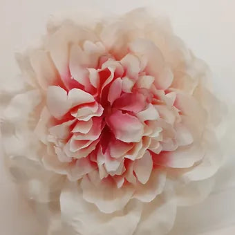 Flower Camelia for Flourist, Gift packaging(9cm)