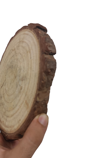 Wooden platter Logs