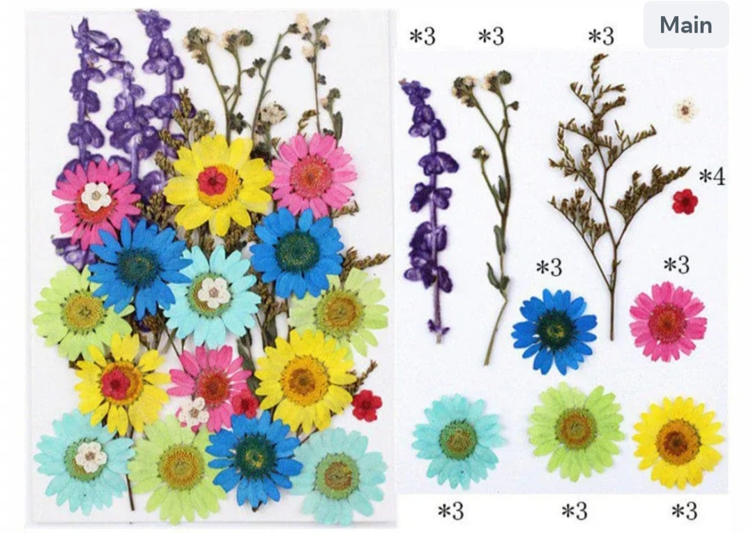 32 In 1 Pressed Flowers Fl106