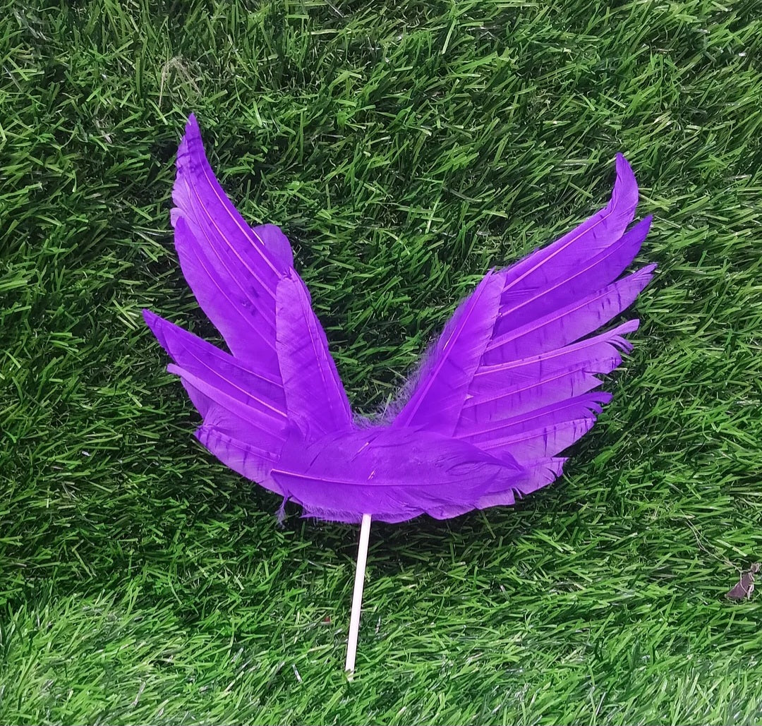 Wing Feather Cake Topper