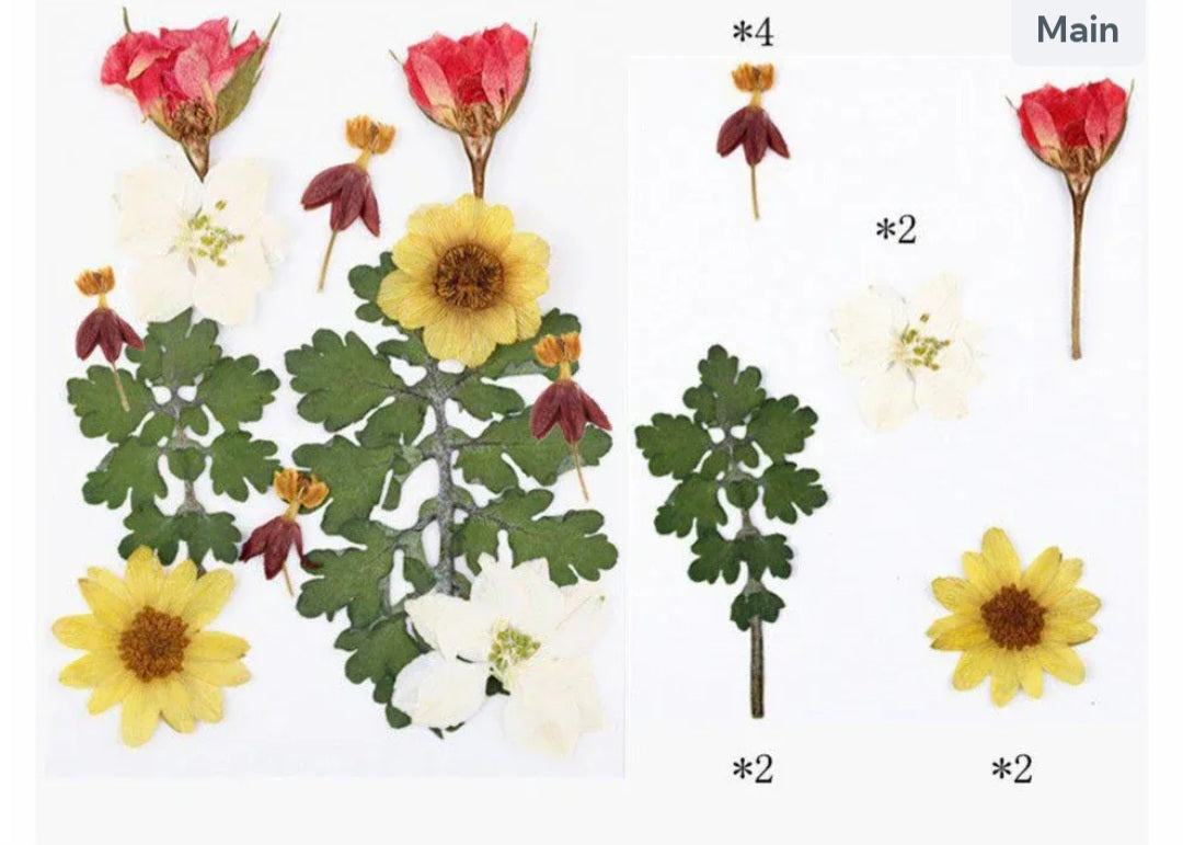 Pressed flower FL021
