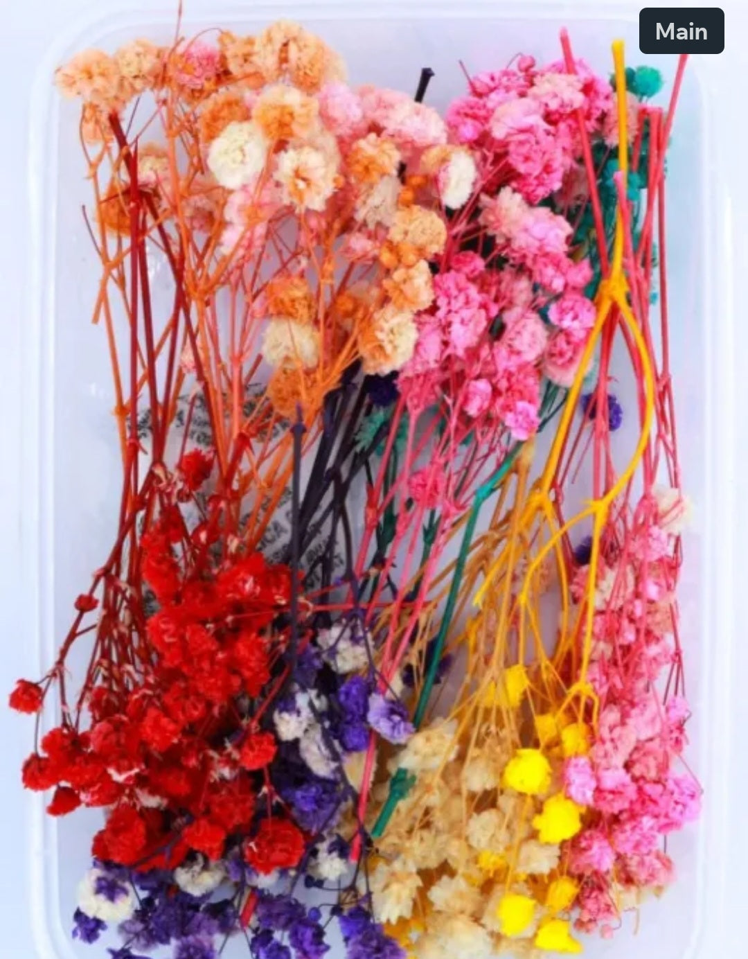 Baby Breath - DRY RESIN FLOWER BOX